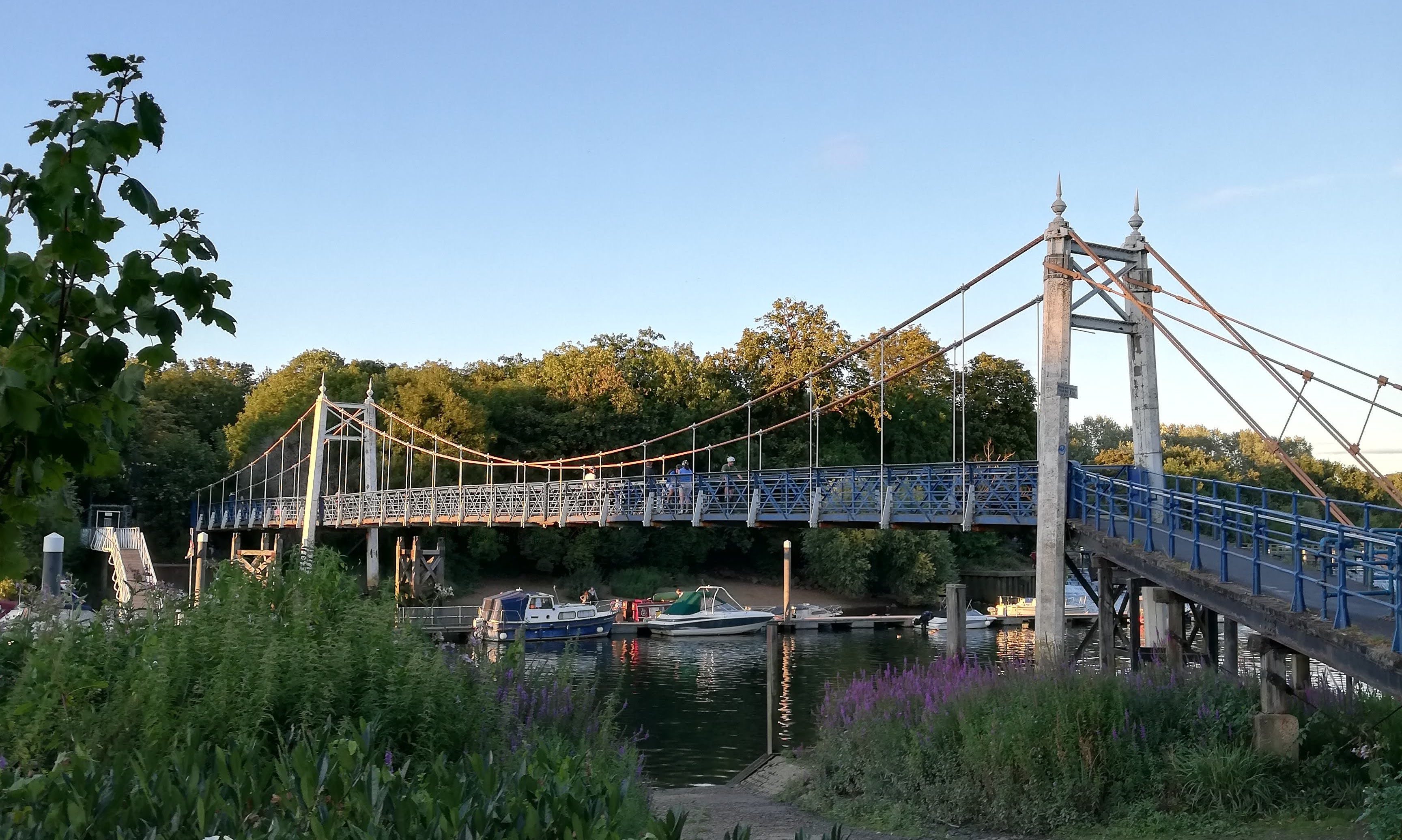 A suspension bridge in the evening light during the summer